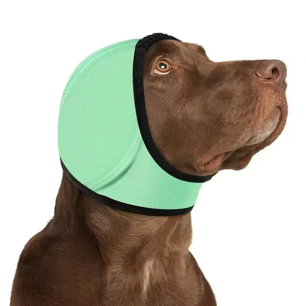 Dog Ear Protection