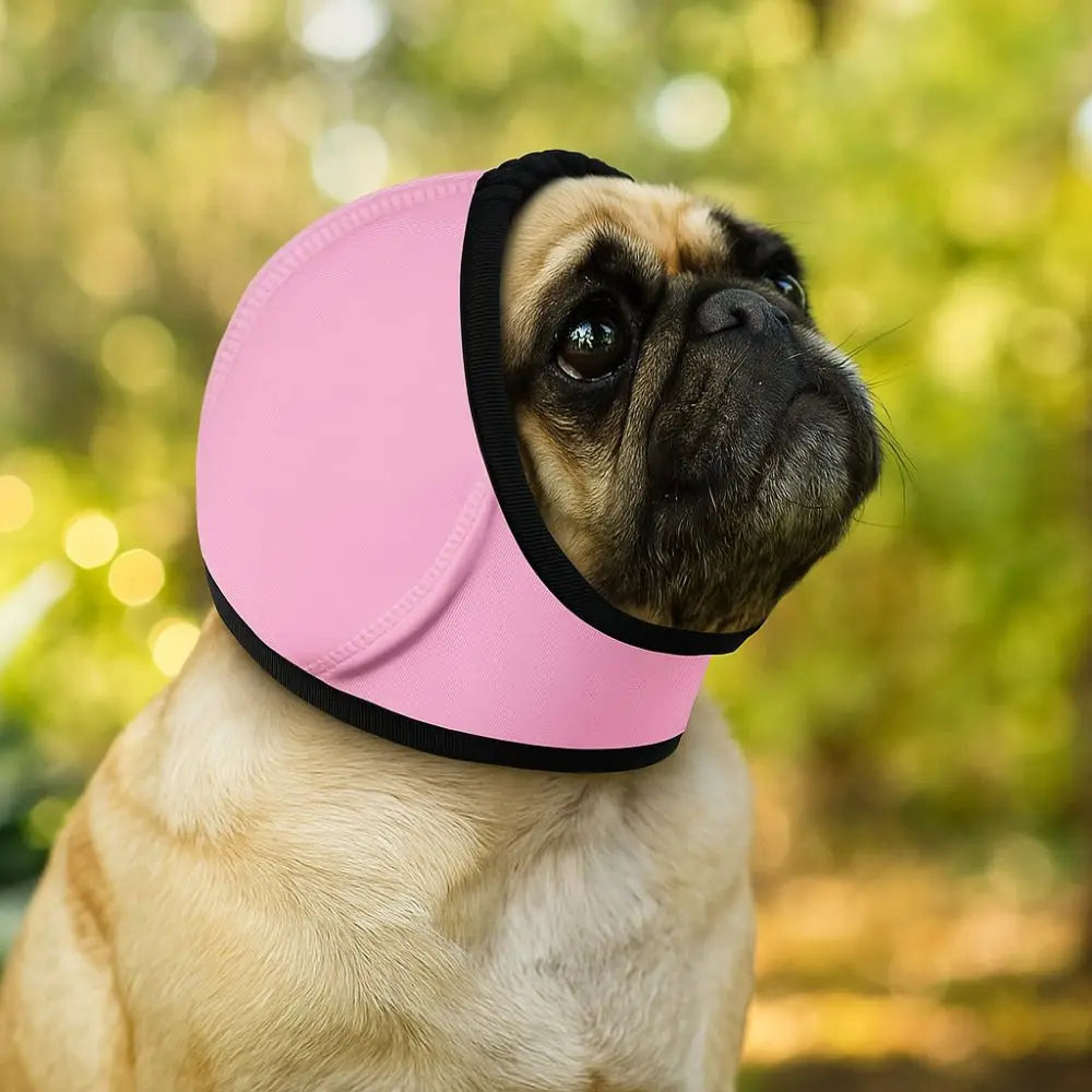 Dog Ear Protection