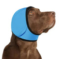 Dog Ear Protection