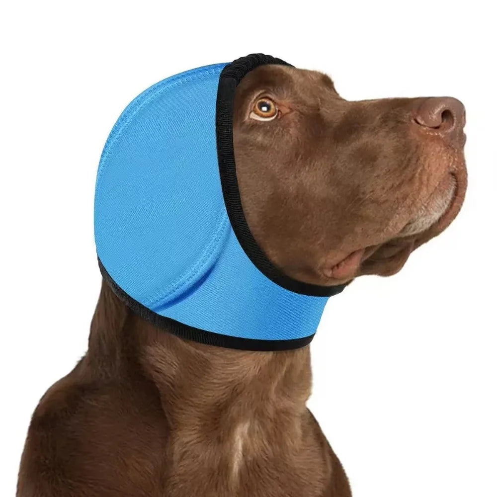 Dog Ear Protection