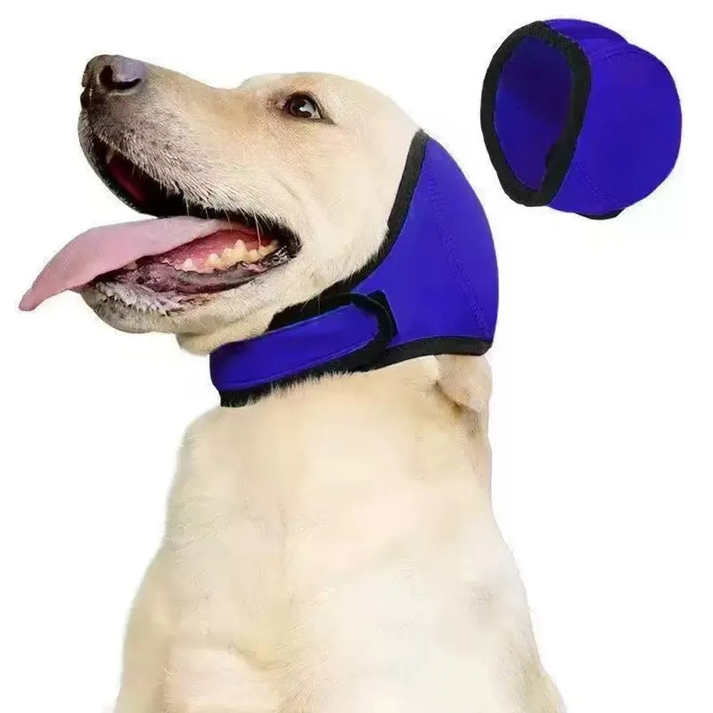 Dog Ear Protection