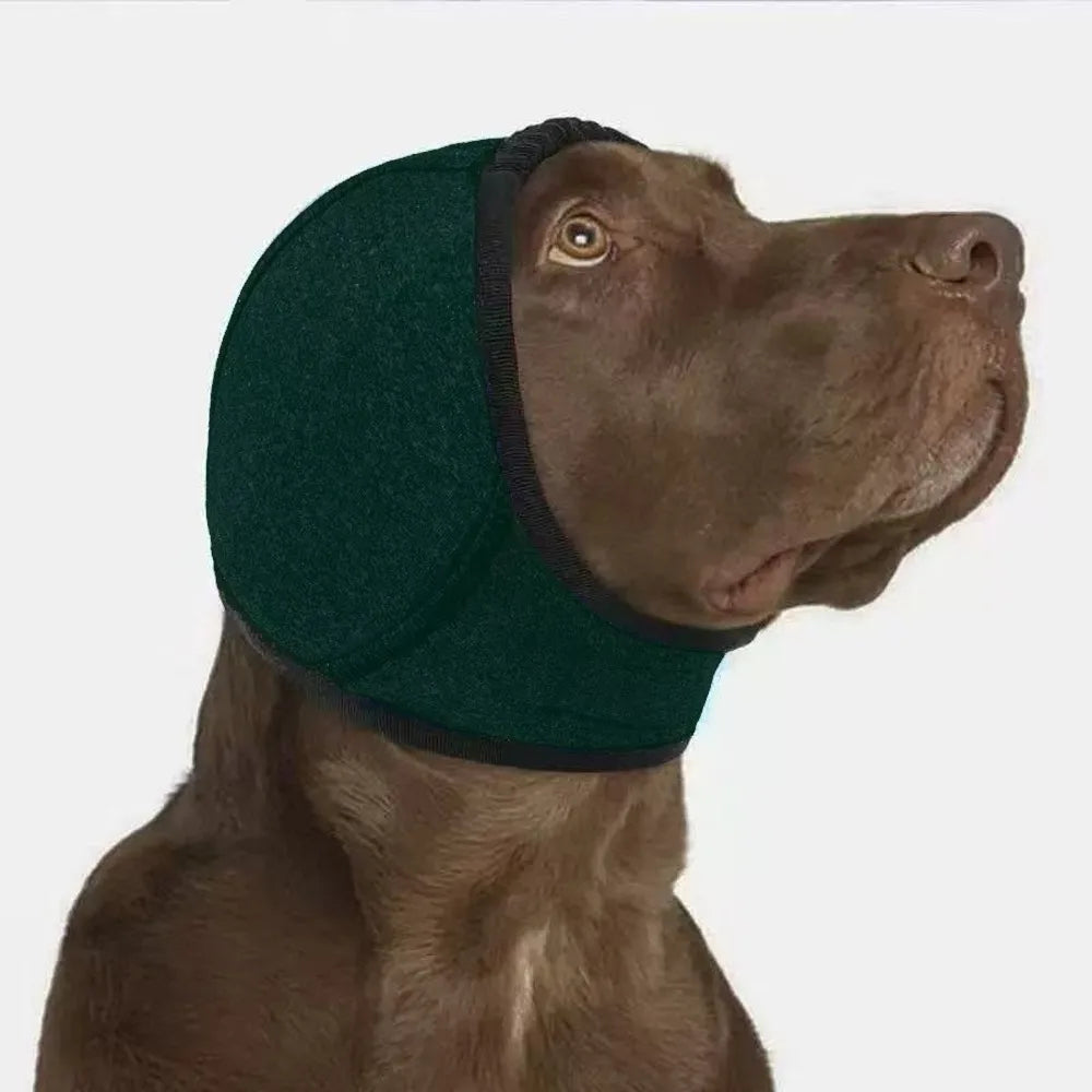 Dog Ear Protection